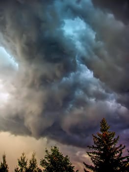 Stormy clouds in forest
