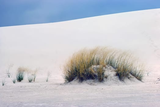 White Sands in New Mexico