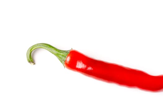 hot red chili pepper isolated on white background