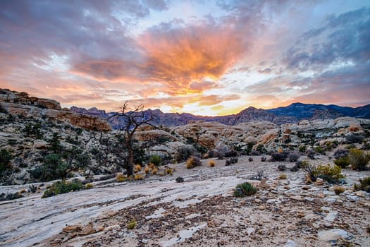 The Red Rock Canyon National Conservation Area near Las Vegas, Nevada