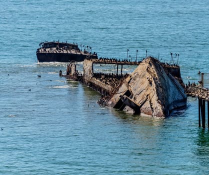 View Of Shipwreck S.S. Palo Alto