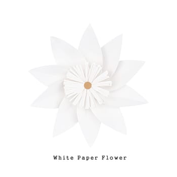 White paper flower handmade, top view, isolated
