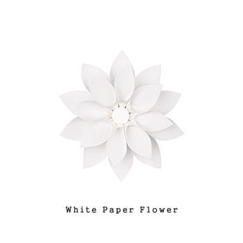 White paper flower handmade, top view, isolated