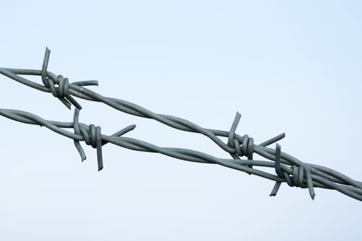 Barbed wire Close Up.
