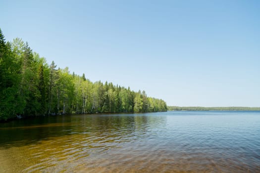 Lake with Forest and Blue Sky.