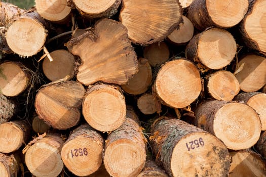 Logs Piled on to of each other.