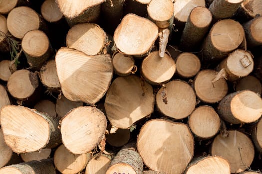 Logs Piled on to of each other.