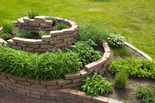 herb spiral in the garden with herbs and flowers