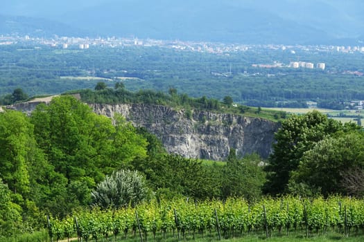 Phonolite quarry in Bötzingen