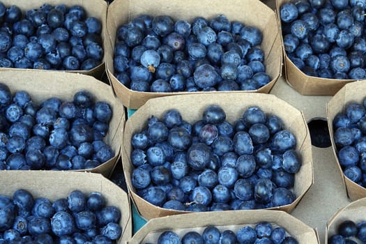 Bowls of blueberries at a farmer's market