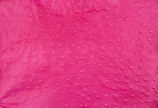 Imitation of pink ostrich skin background