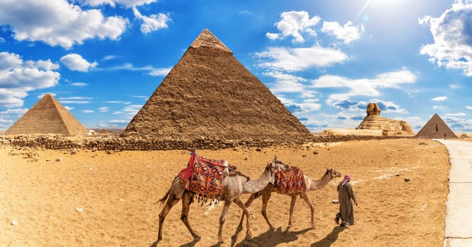 Bedouin with camels in front of the Pyramids and the Sphinx, Giza.