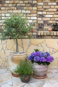 beautiful place in the garden in the mediterranean style, pots with flowers