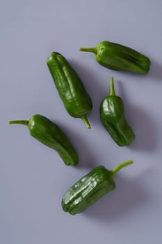 Five fresh whole pods of hot pungent spicy green jalapeno chili pepper for seasoning and flavoring cooking on a grey background