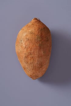Single healthy fresh raw whole sweet potato or yam lying on a grey background with copy space