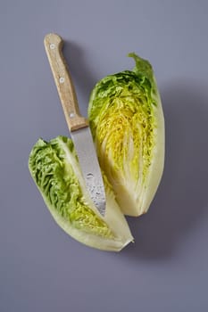 Sharp wet kitchen paring knife with a sliced head of Chinese or Napa cabbage showing the crinkly leaves on a grey background