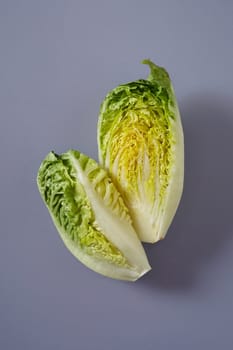 Halve head of fresh green Chinese or Napa Cabbage showing the crinkly leaves for cooking or a salad on a grey background
