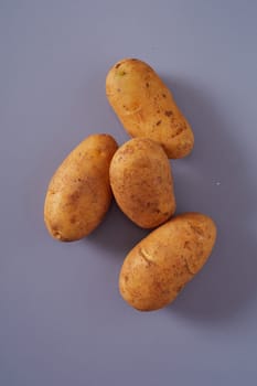 Farm fresh raw washed potatoes on grey ready to be used for cooking viewed top down with copy space in vertical format