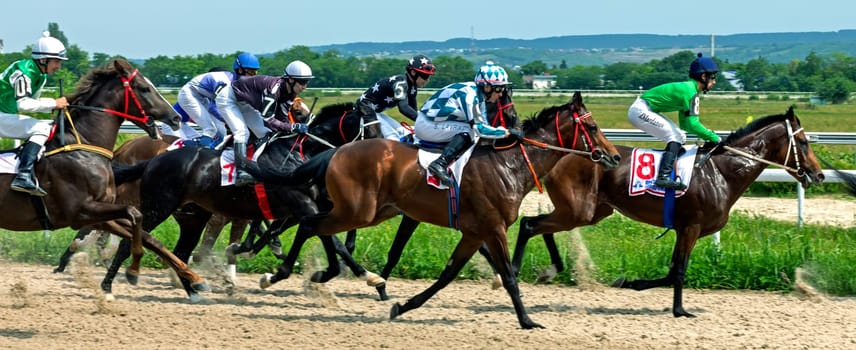 Hors erace in Pyatigorsk