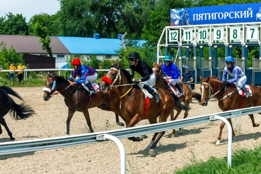 PYATIGORSK, RUSSIA - JUNE 23,2019: Start horse race of the traditional prize Ogranichitelni on Pyatigorsk hippodrome,Northern Caucasus,Russia.