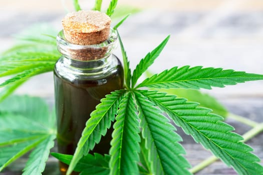 Cannabis oil surrounded by cannabis leaves.