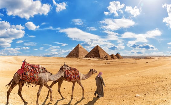 The bedouin in the desert near the Pyramids of Egypt .