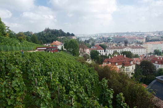 A beutiful picture from Prag