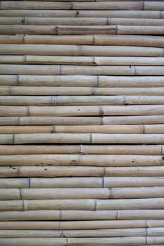 Dry bamboo wall.​ Light brown bamboo in small size, arranged horizontal​. The top surface of the bamboo litter....