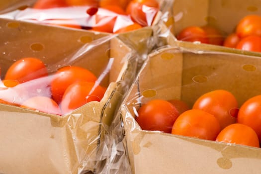 ripe cherry tomatoes packages in box and plastic close up and isolated on white background