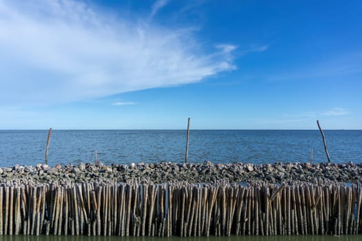 Dried bamboo together into the sea. Prevent coastal erosion from seawater.