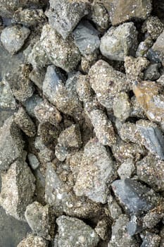 Pile of rocks by the sea There are many small clams attached and embedded.