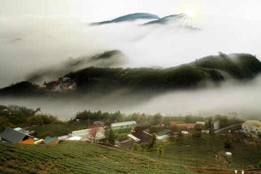 The Sunset in the mountain forest landscape, Taiwan