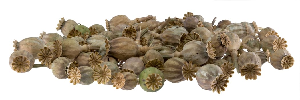 Ripe, dry poppy seed pods piled as background isolated on white
