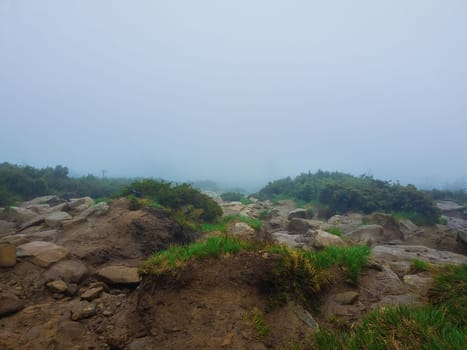 Muddy mountain ground as a mixture of clay rocks and plants typical for spring season on the hills of Carpathians. Gloomy foggy landscape with low visibility on the horizon.