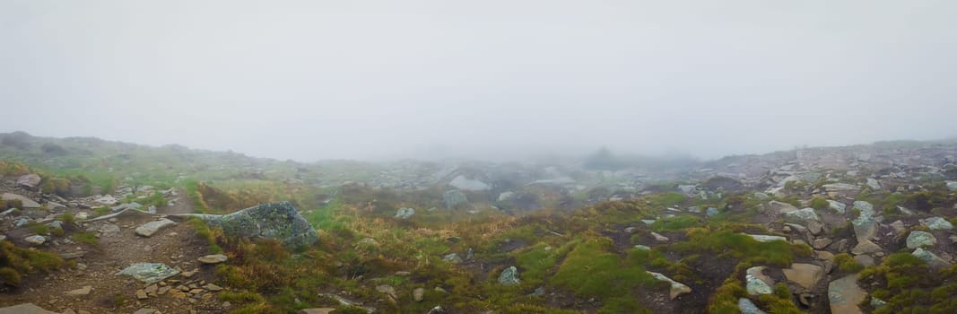 Muddy mountain ground as a mixture of clay rocks and plants typical for spring season on the hills of Carpathians. Gloomy foggy landscape panorama with low visibility on the horizon.