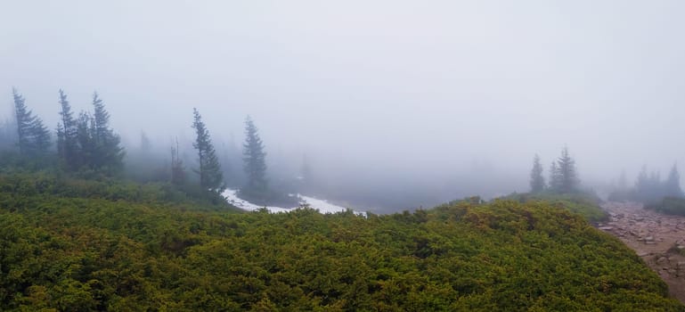 Panoramic view foggy morning in the Carpathian mountains with coniferous forest in the haze and little snow remaining through the hills. Gloomy seasonal misty landscape.
