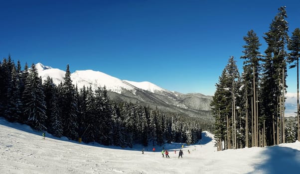 Scenic view of group of skiers on Bansko ski slope with blue sky background. Pirin mountains, Bulgaria.