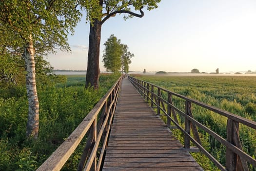 Morning at Federsee
