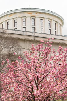 Columbus is the State Capital of Ohio Headquarted at the Government Statehouse