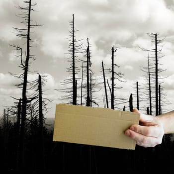 blank sign with copy space in front of a dead forest in the Harz National Park in Germany