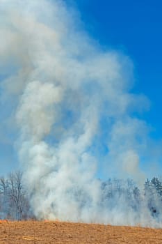 Smoke Rising from a Burning Prairie in Spring Valley Nature Center in Schaumburg, Illinois