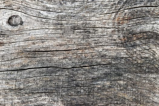 Wooden background with lines and knotholes. Wood texture from a wooden board.
