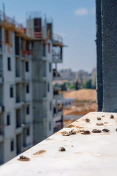 Pigeon droppings on the windowsill. A building under construction in the background. Side view.