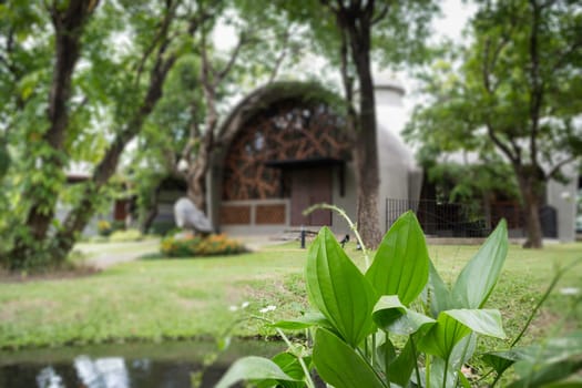 Small hut in the resort, stock photo