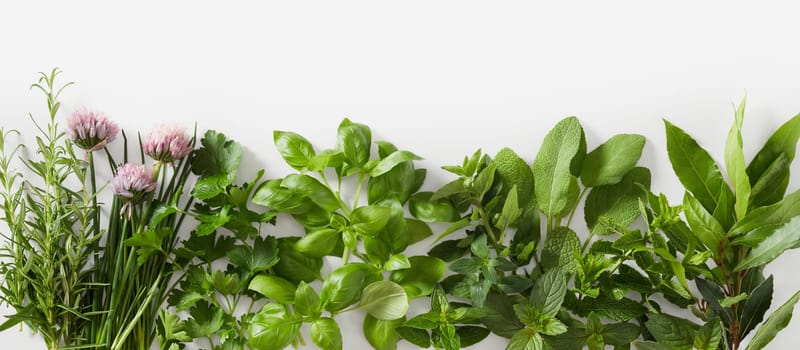 Sprigs of different healthy fresh culinary herbs with edible flowers in a panorama banner over white with copy space
