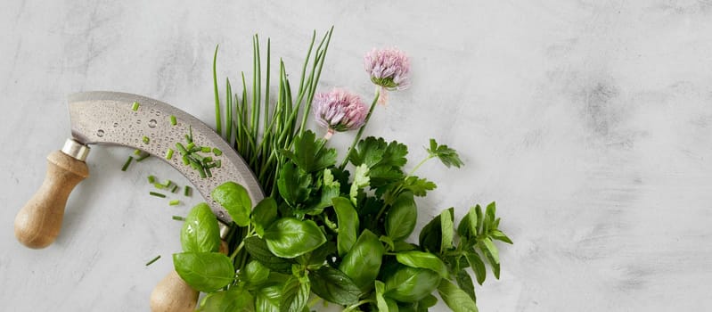 Panorama banner of assorted fresh culinary herbs with a mezzaluna knife and edible flowers with chives, basil, mint and coriander over mottled grey with copy space