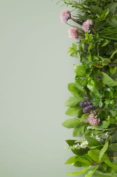 Fresh healthy culinary herb assortment with edible flowers arranged as a right side vertical border on a green background with copy space
