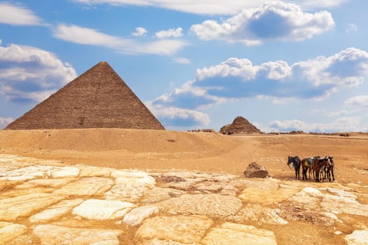 The Pyramid of Menkaure complex and horses near it, Giza, Egypt.