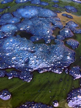 Close up , Nature dyeing fabric with indigo water background