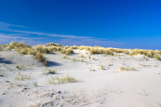 the dunes, Renesse, Zeeland, the Netherlands